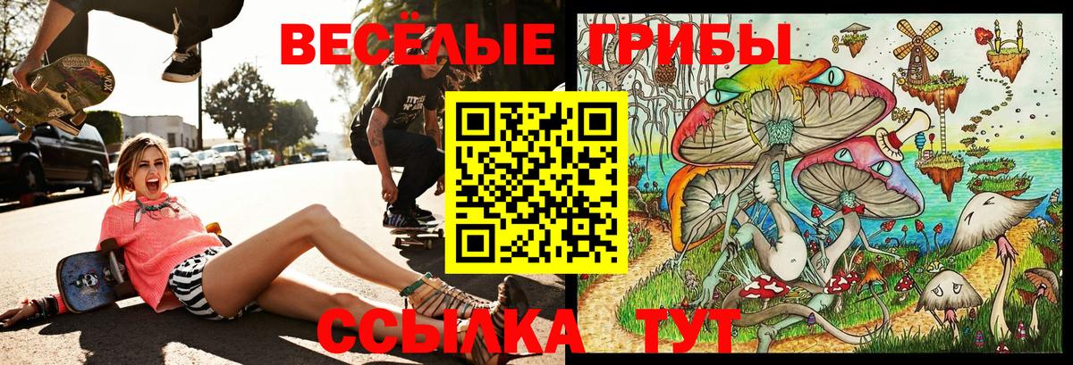 Галлюциногенные грибы прущие грибы Славгород
