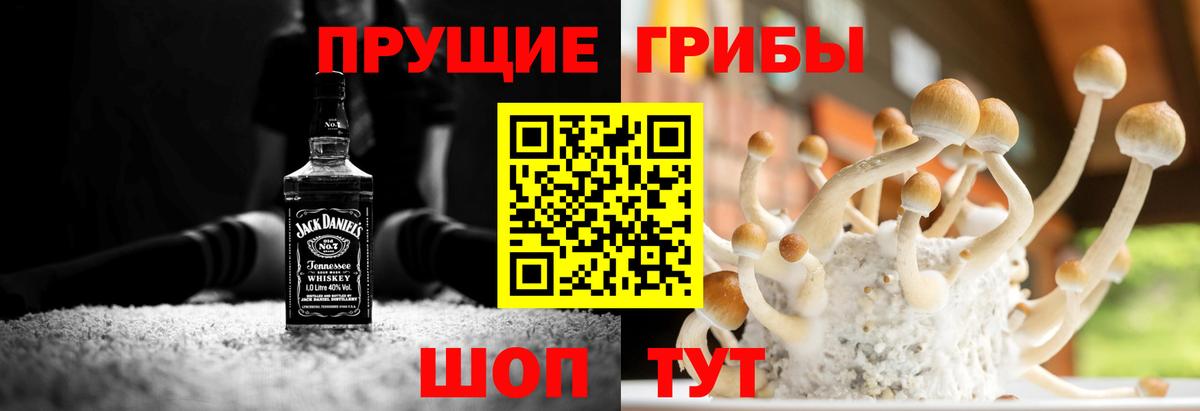 Галлюциногенные грибы мухоморы  Вход с VPN  Славгород 